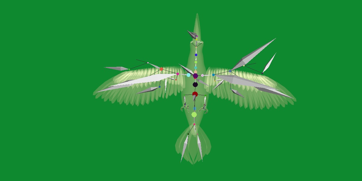 Toucan Bird Low-poly 3D model_19