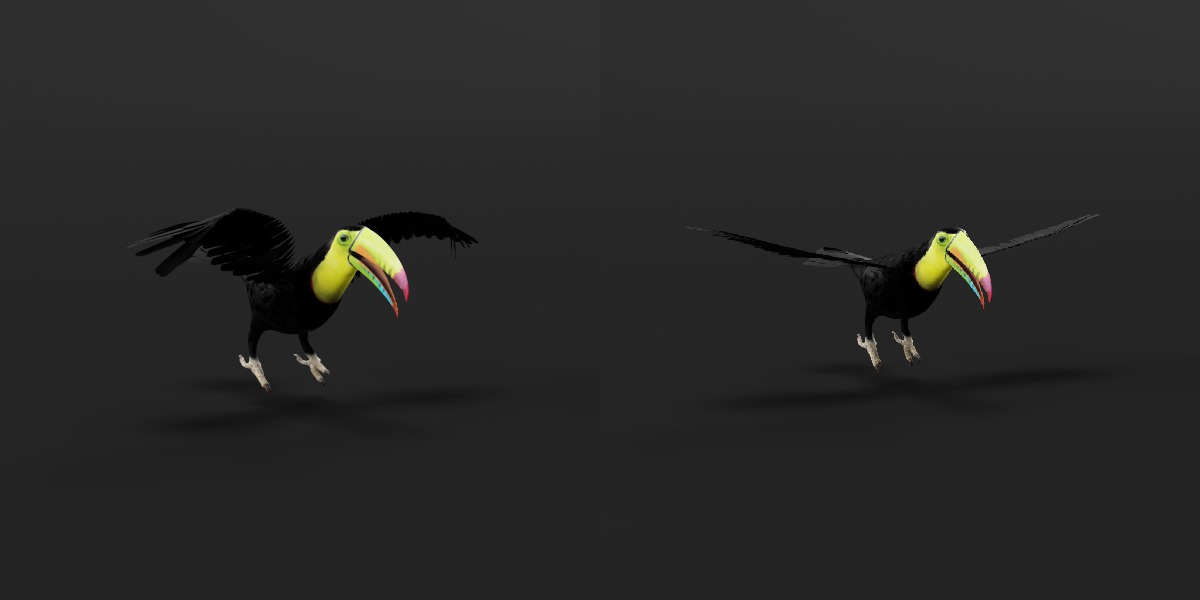 Toucan Bird Low-poly 3D model_17