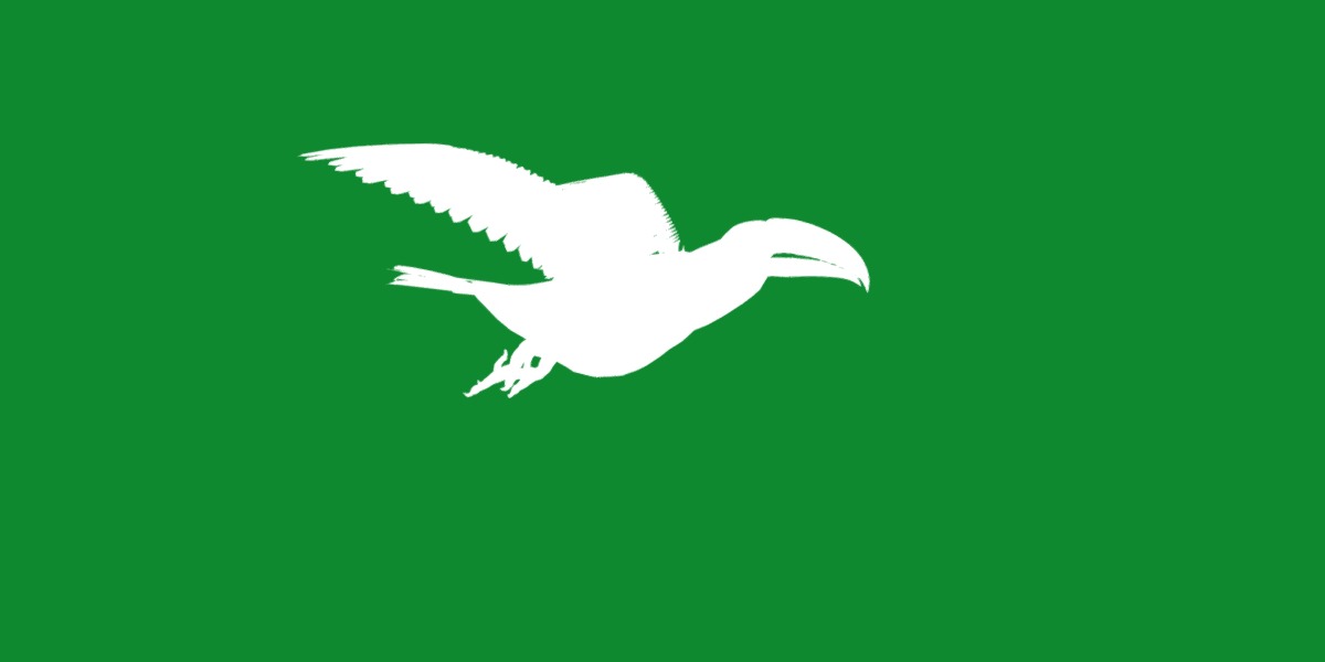 Toucan Bird Low-poly 3D model_9