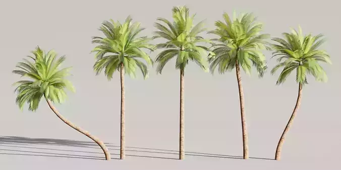 The Low Poly Palm Trees Collection Vol 280-Blender Low-poly 3D model
