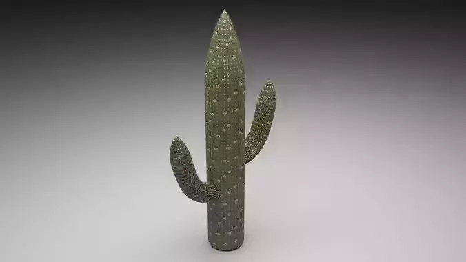 Cactus