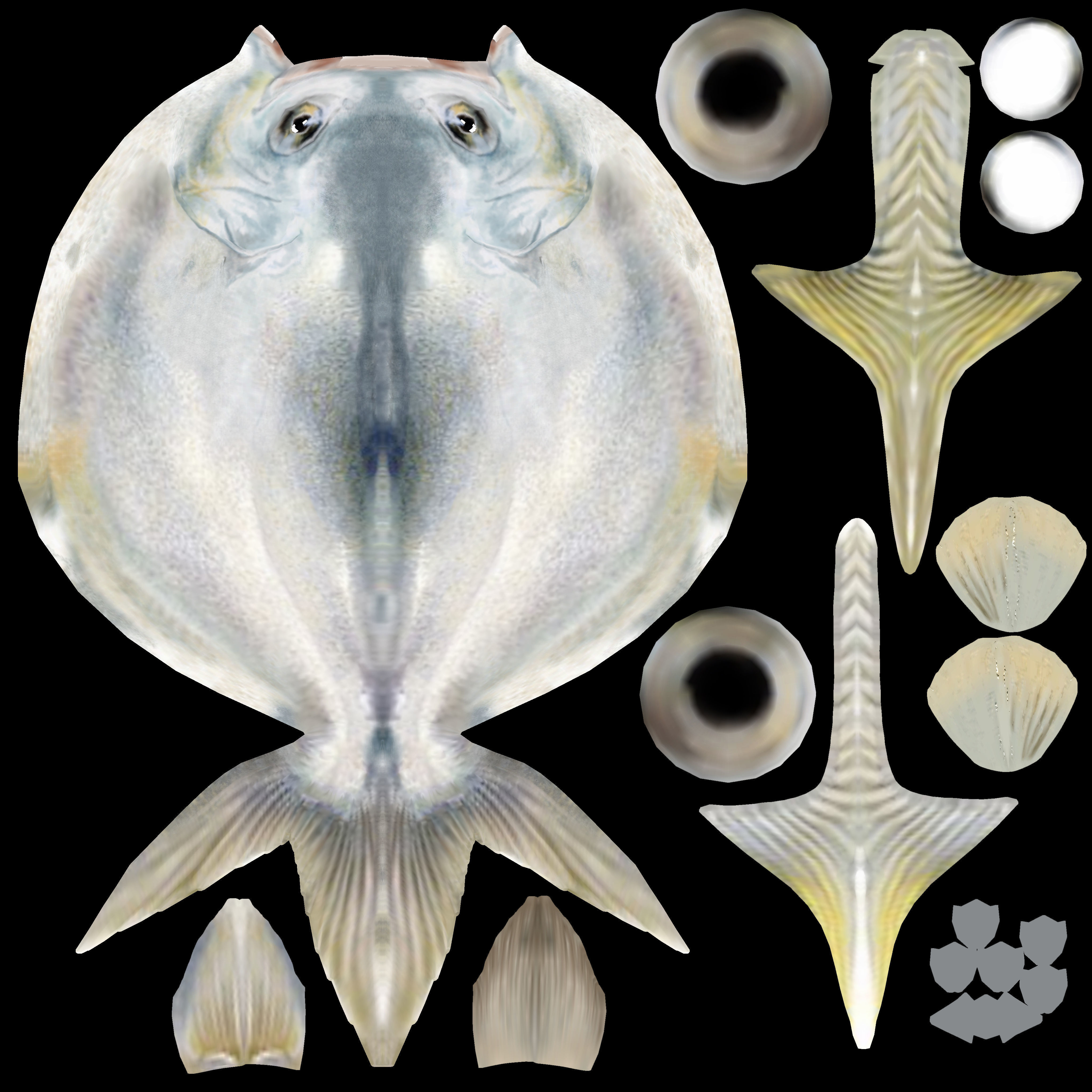 snubnose pompano Fish Low-poly 3D model_4