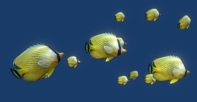 Schooling Fish  Low-poly 3D model
