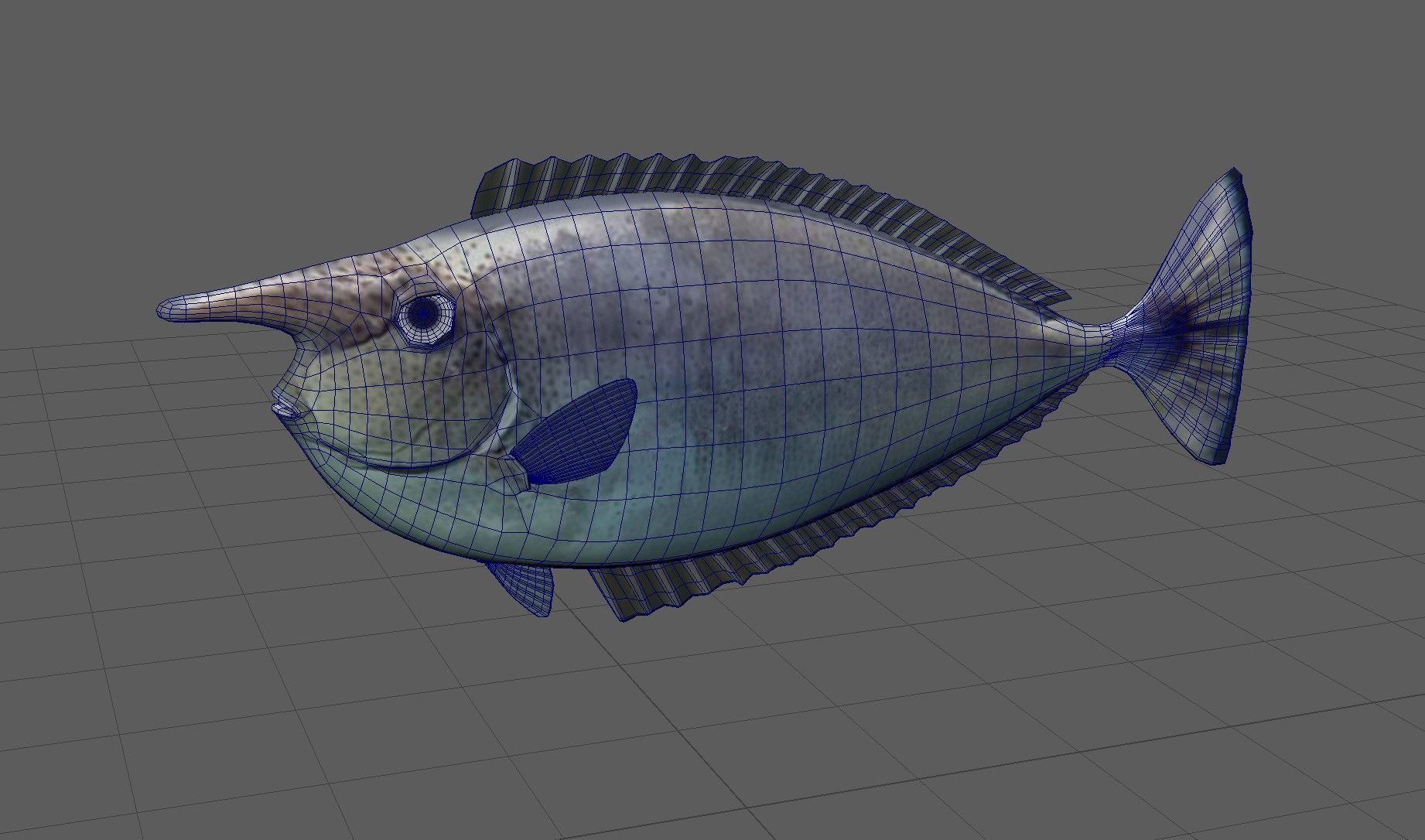 Unicorn Fish 3D model_8