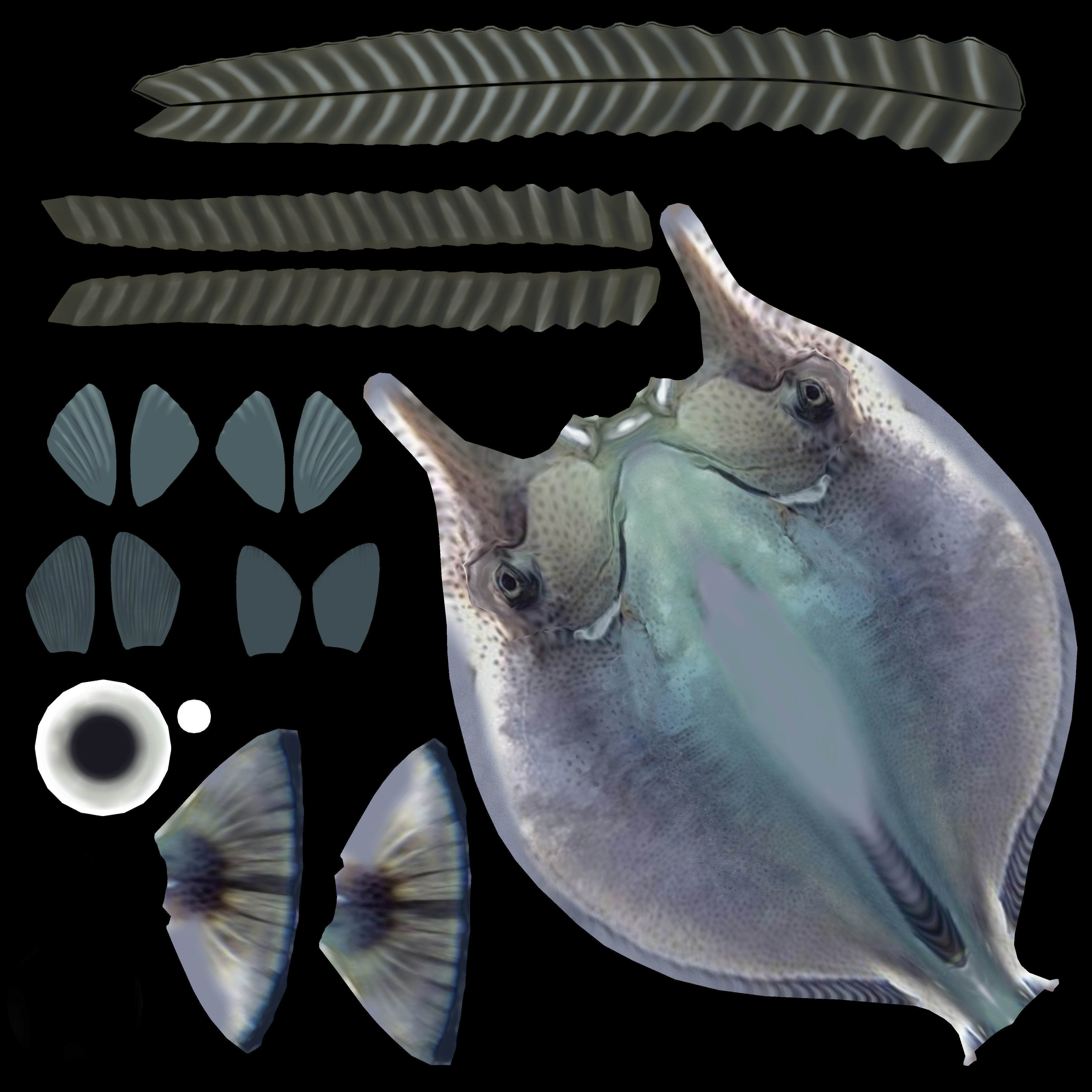Unicorn Fish 3D model_6