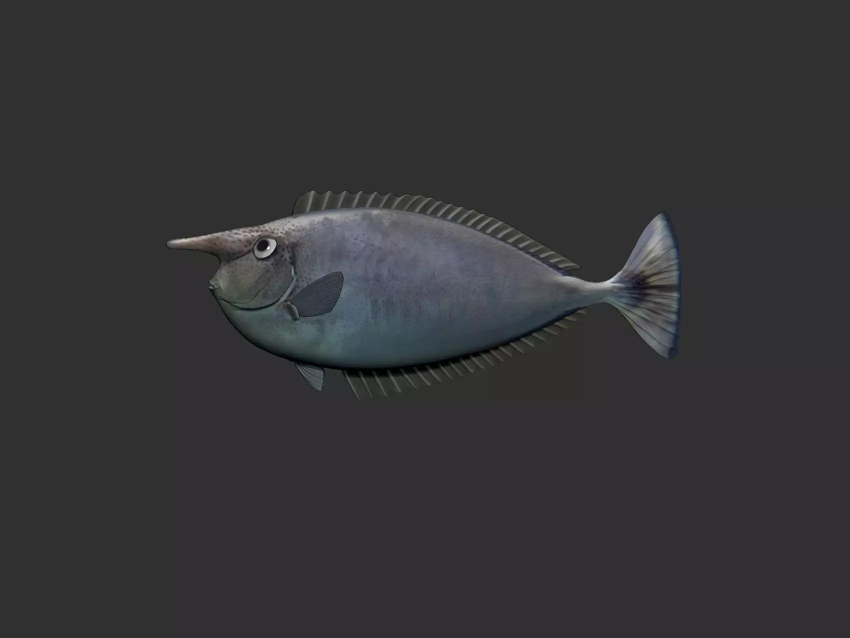 Unicorn Fish 3D model_0