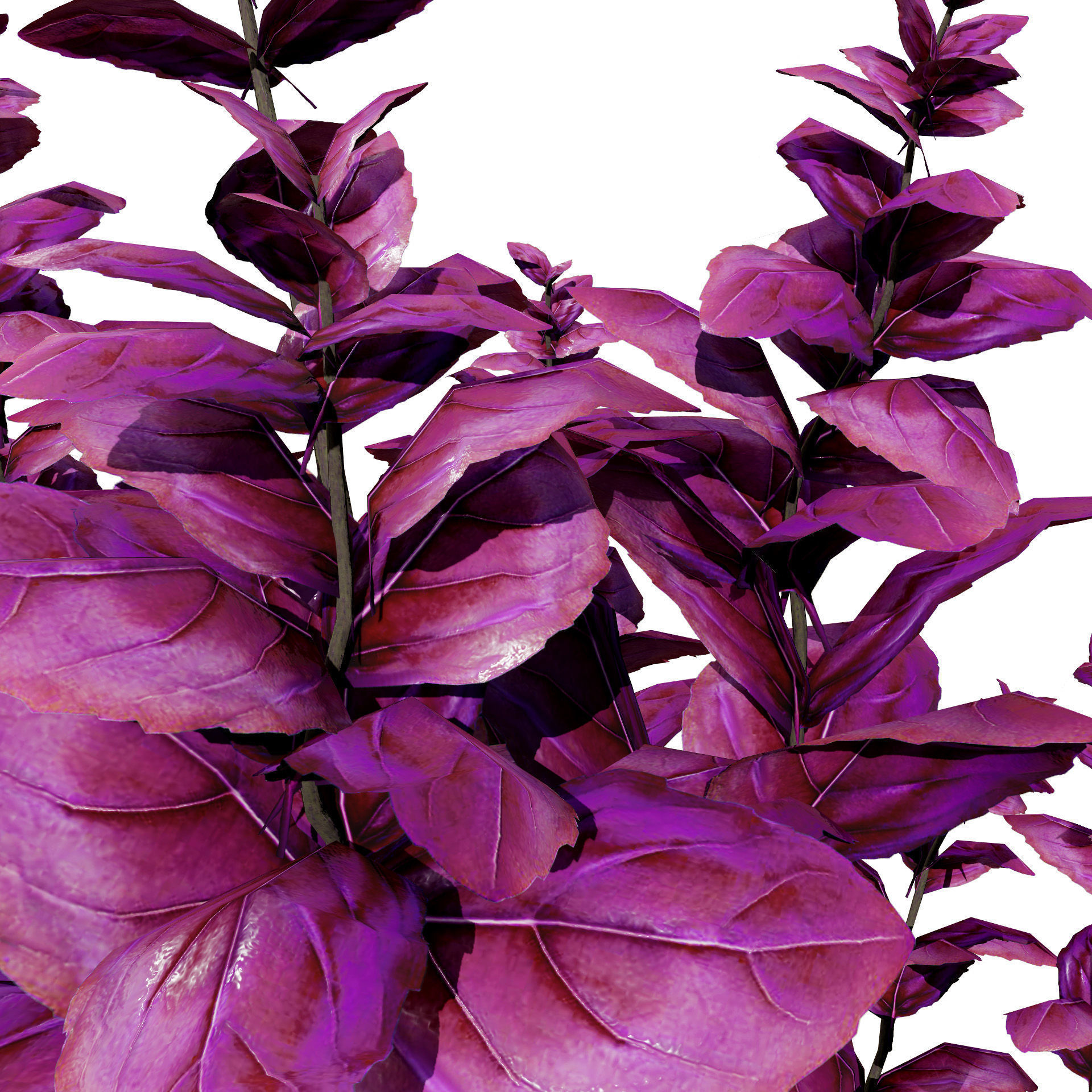 Low-Poly Basil Plants with Free Tutorial Low-poly 3D model_6