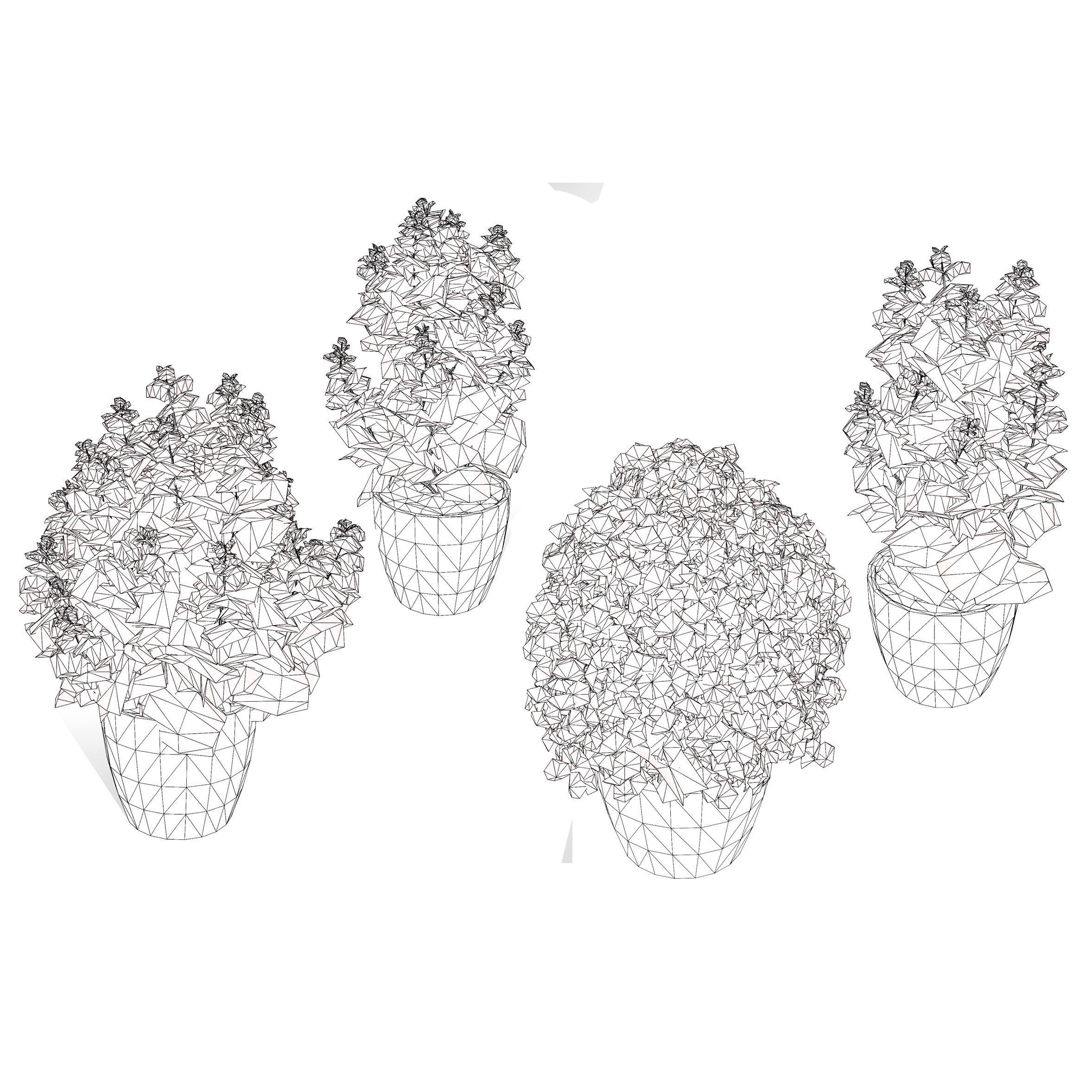 Low-Poly Basil Plants with Free Tutorial Low-poly 3D model_9