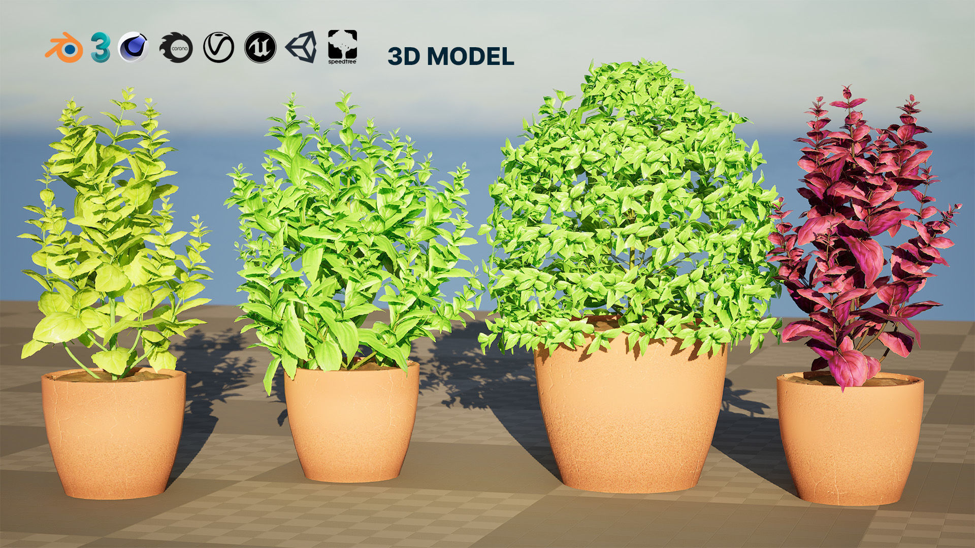 Low-Poly Basil Plants with Free Tutorial Low-poly 3D model_3