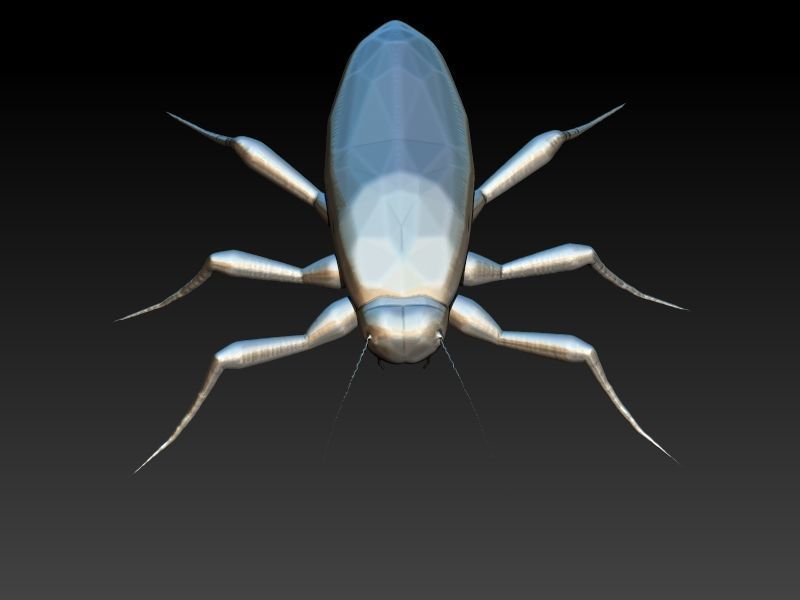 COCKROACH Pendant Necklace 3D print model_17