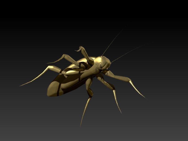COCKROACH Pendant Necklace 3D print model_20