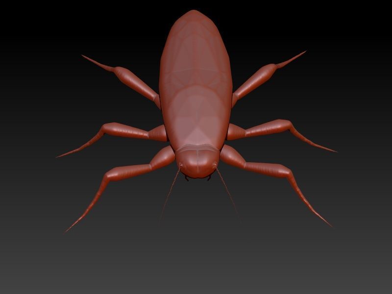 COCKROACH Pendant Necklace 3D print model_25