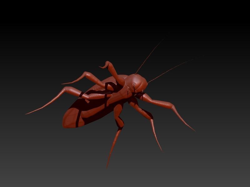 COCKROACH Pendant Necklace 3D print model_30