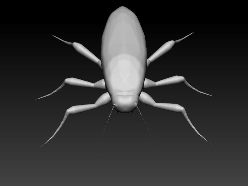 COCKROACH Pendant Necklace 3D print model_18