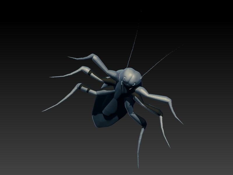 COCKROACH Pendant Necklace 3D print model_23