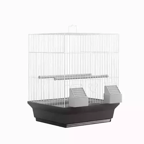 Birdcage Silver 3D model