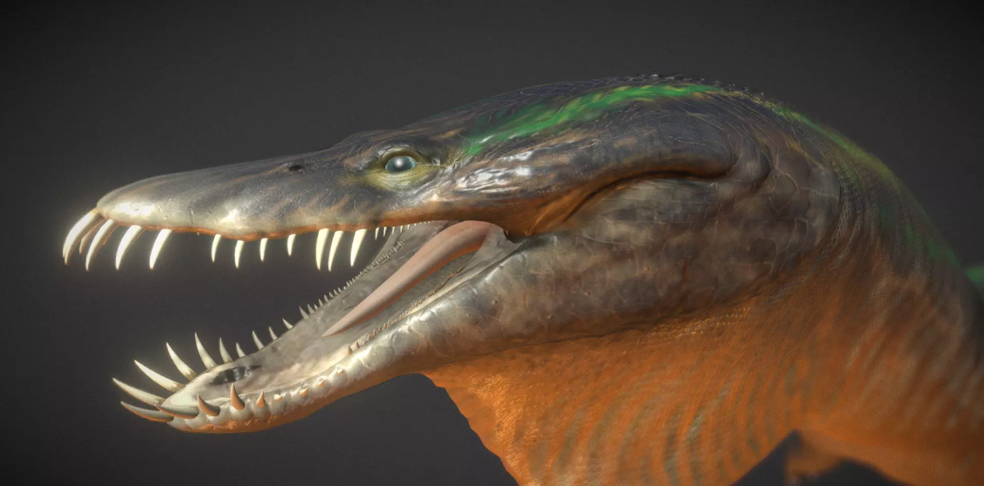  Nothosaurus Low-poly 3D model_0