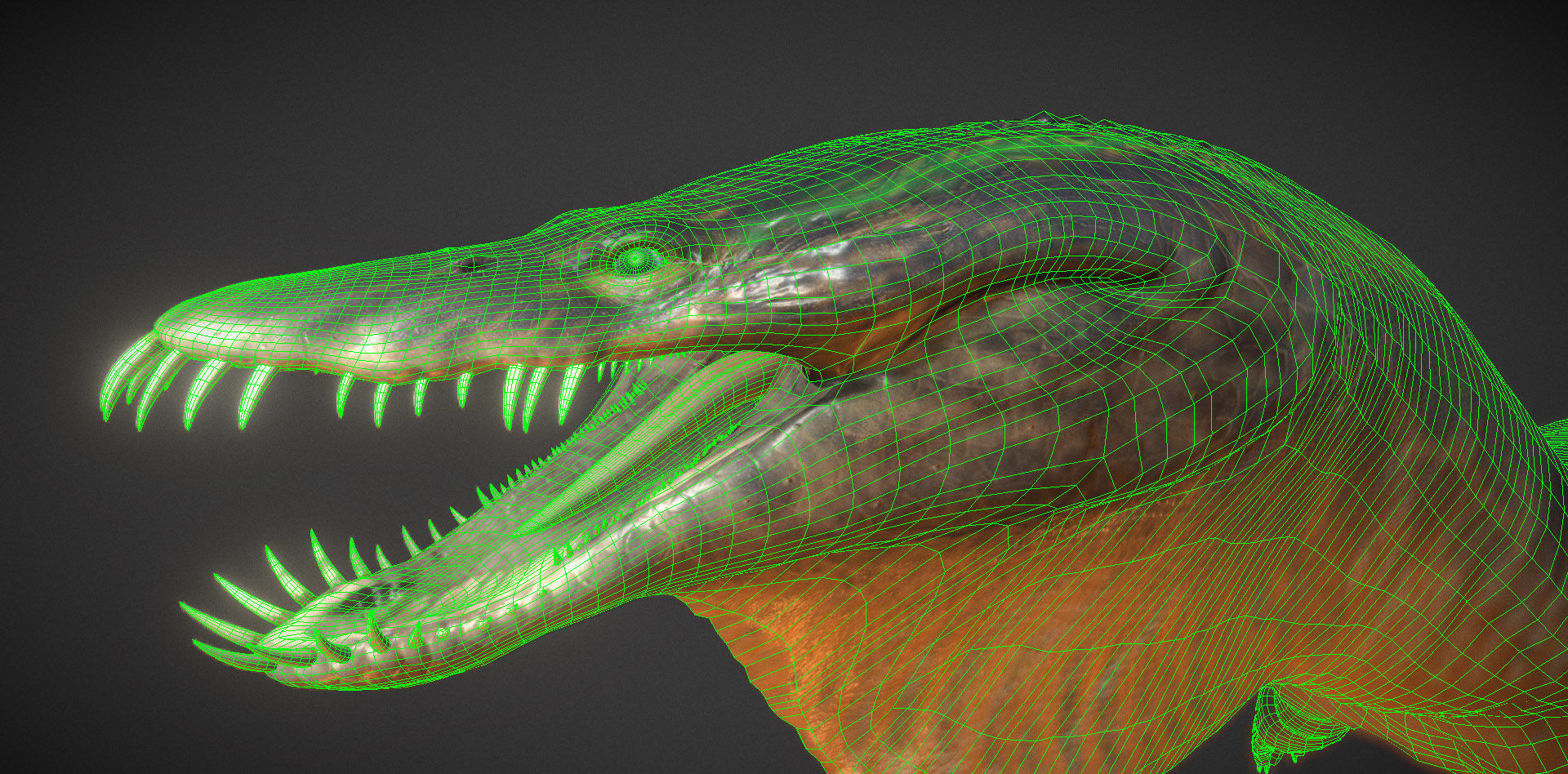  Nothosaurus Low-poly 3D model_1