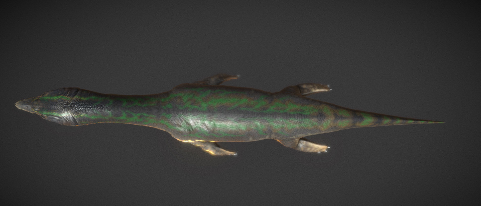  Nothosaurus Low-poly 3D model_8