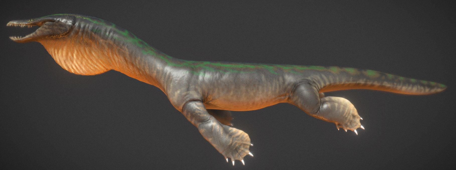  Nothosaurus Low-poly 3D model_7