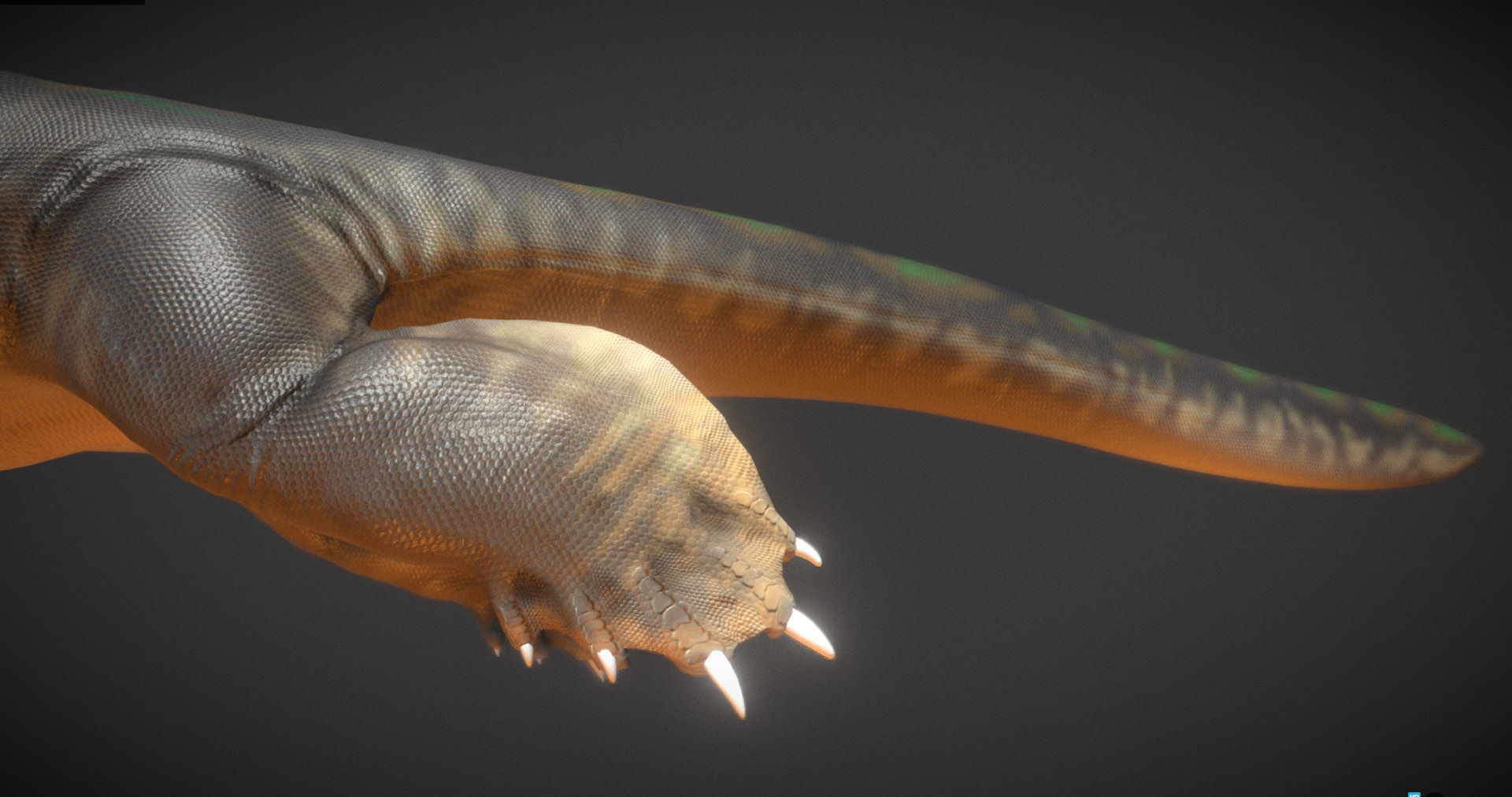  Nothosaurus Low-poly 3D model_5