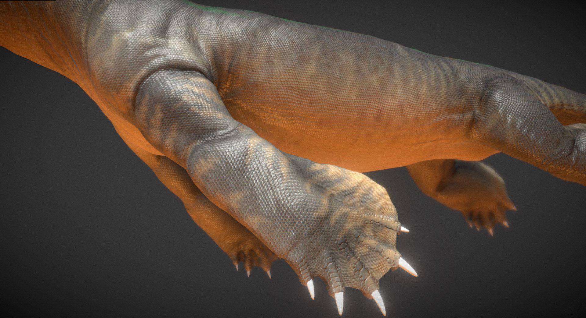  Nothosaurus Low-poly 3D model_3