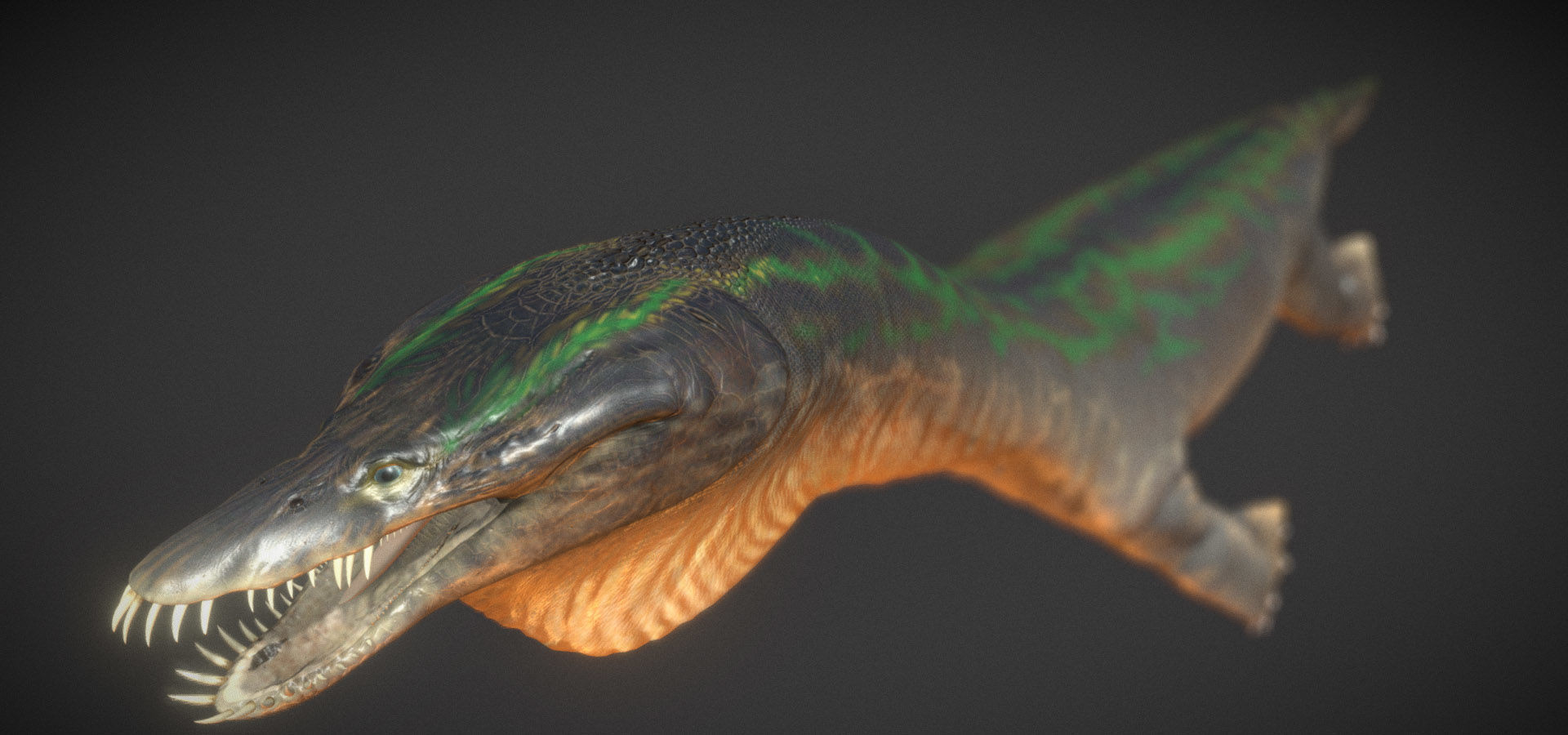  Nothosaurus Low-poly 3D model_9