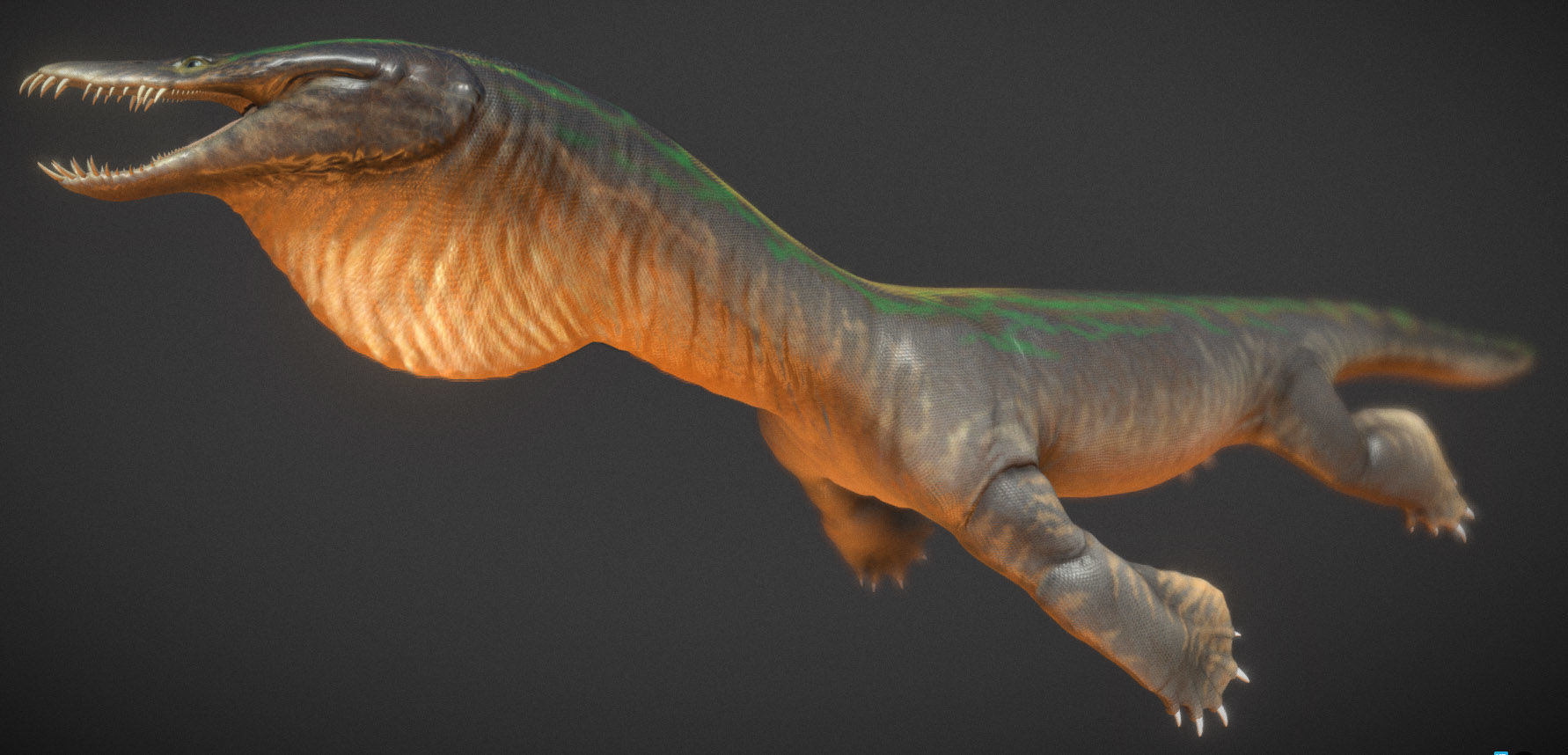  Nothosaurus Low-poly 3D model_2