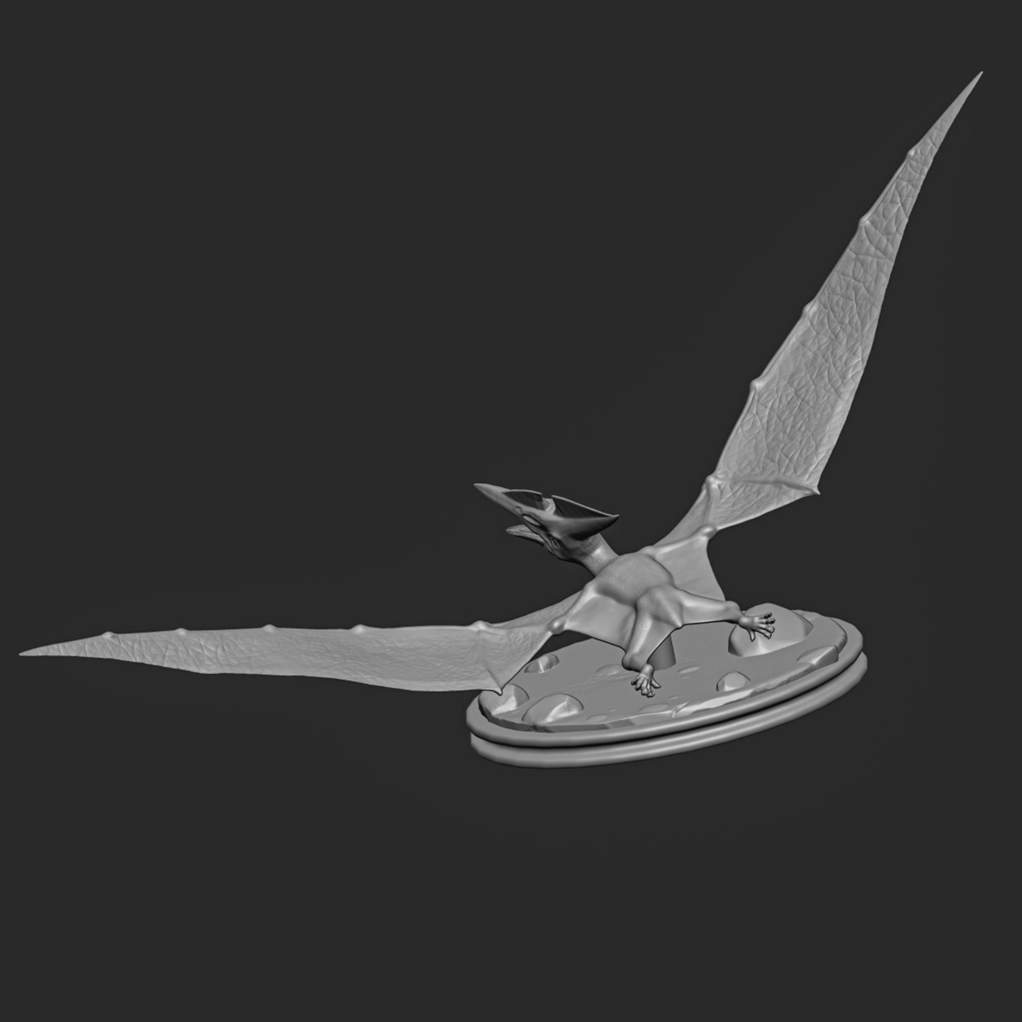 Pteranodon-dinosaur 3D print model_5