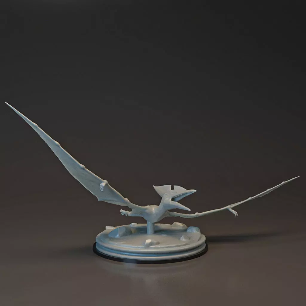 Pteranodon-dinosaur 3D print model_0