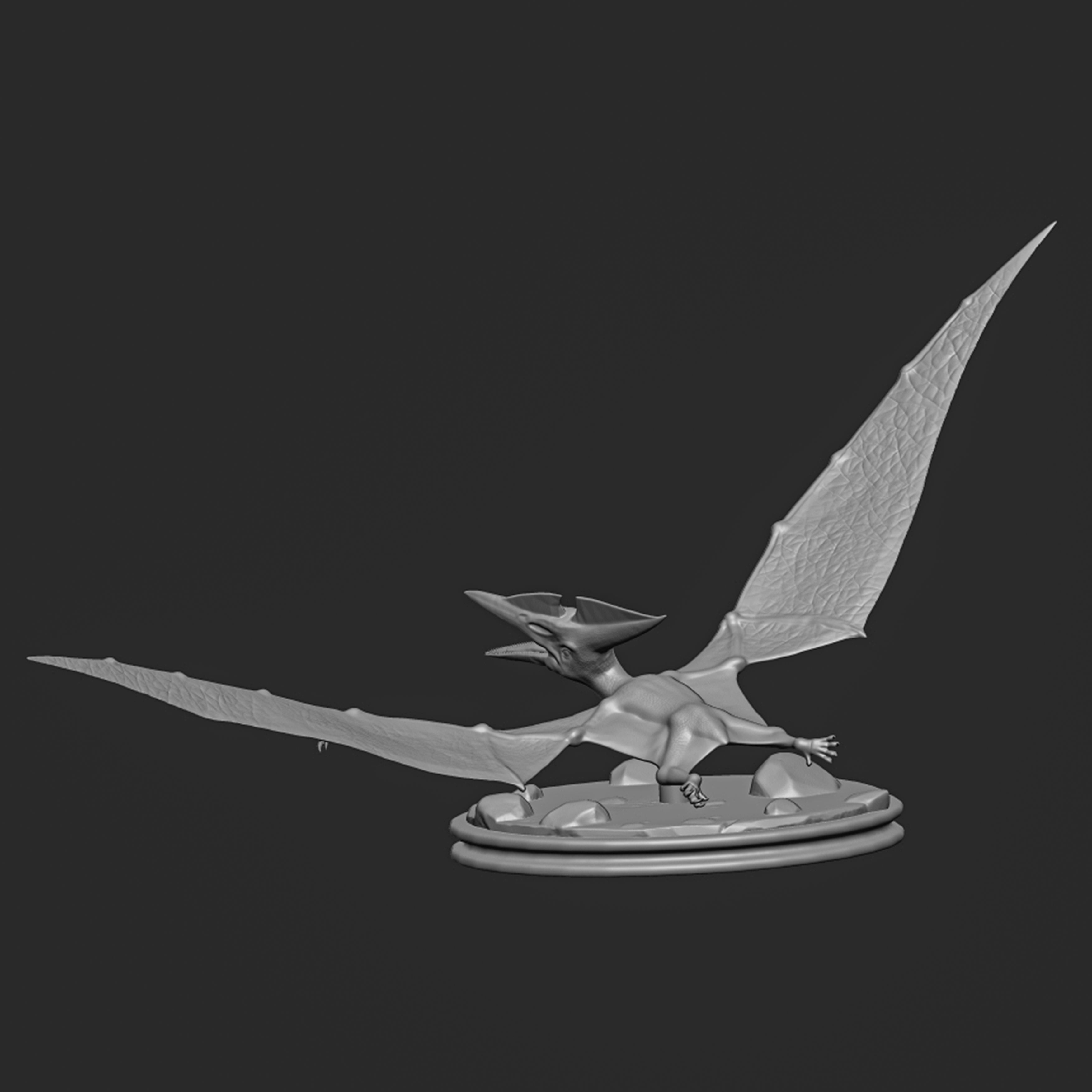 Pteranodon-dinosaur 3D print model_8