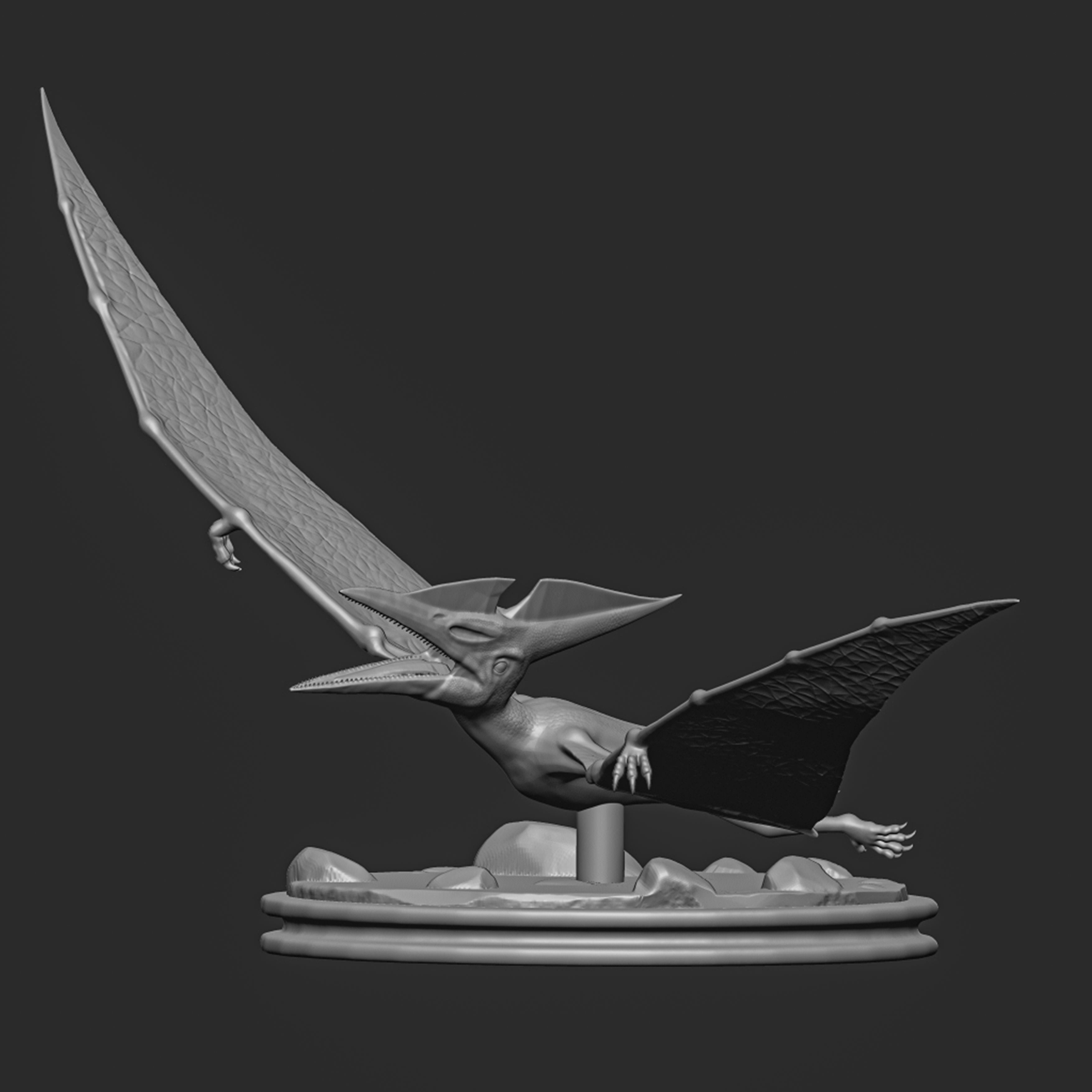 Pteranodon-dinosaur 3D print model_7