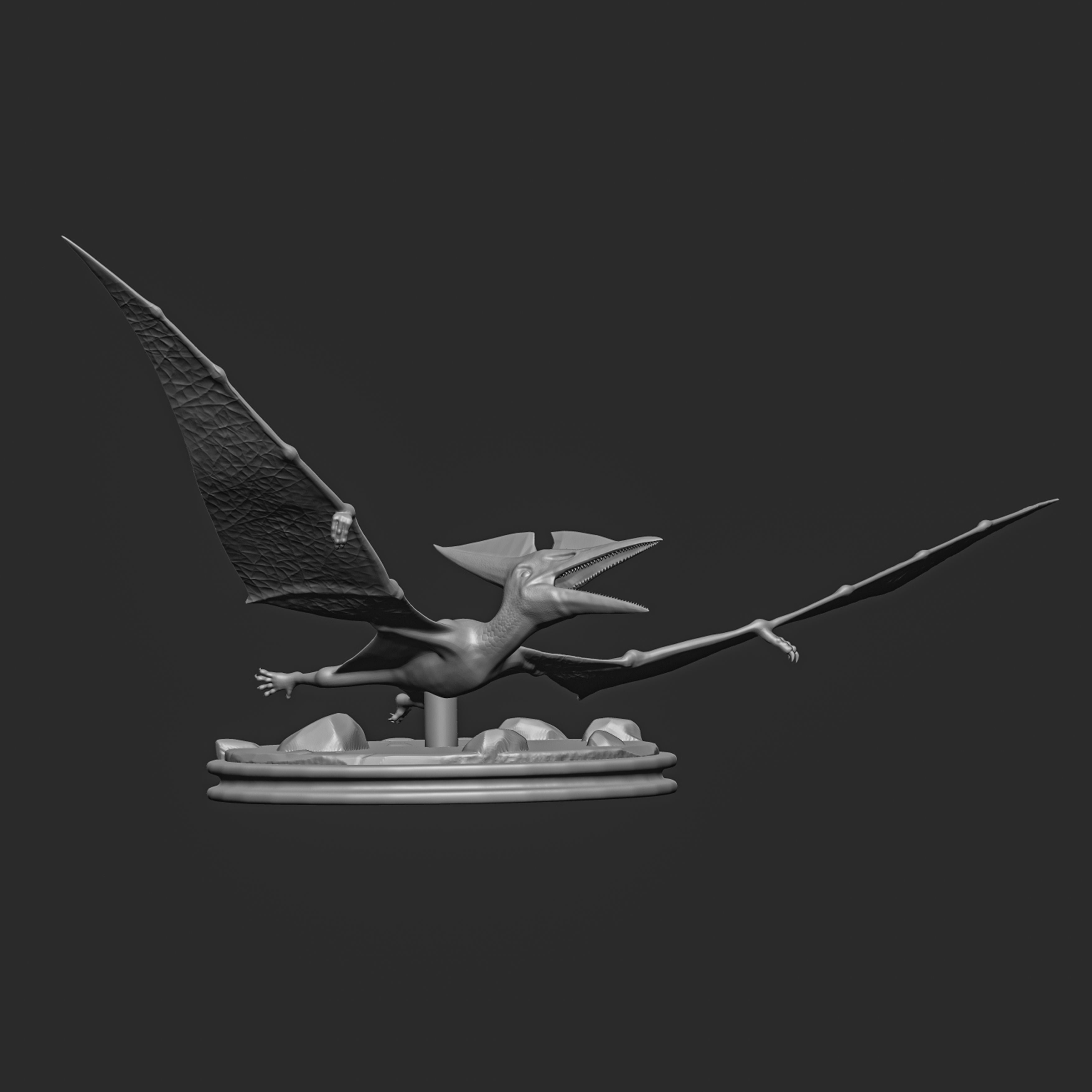 Pteranodon-dinosaur 3D print model_6