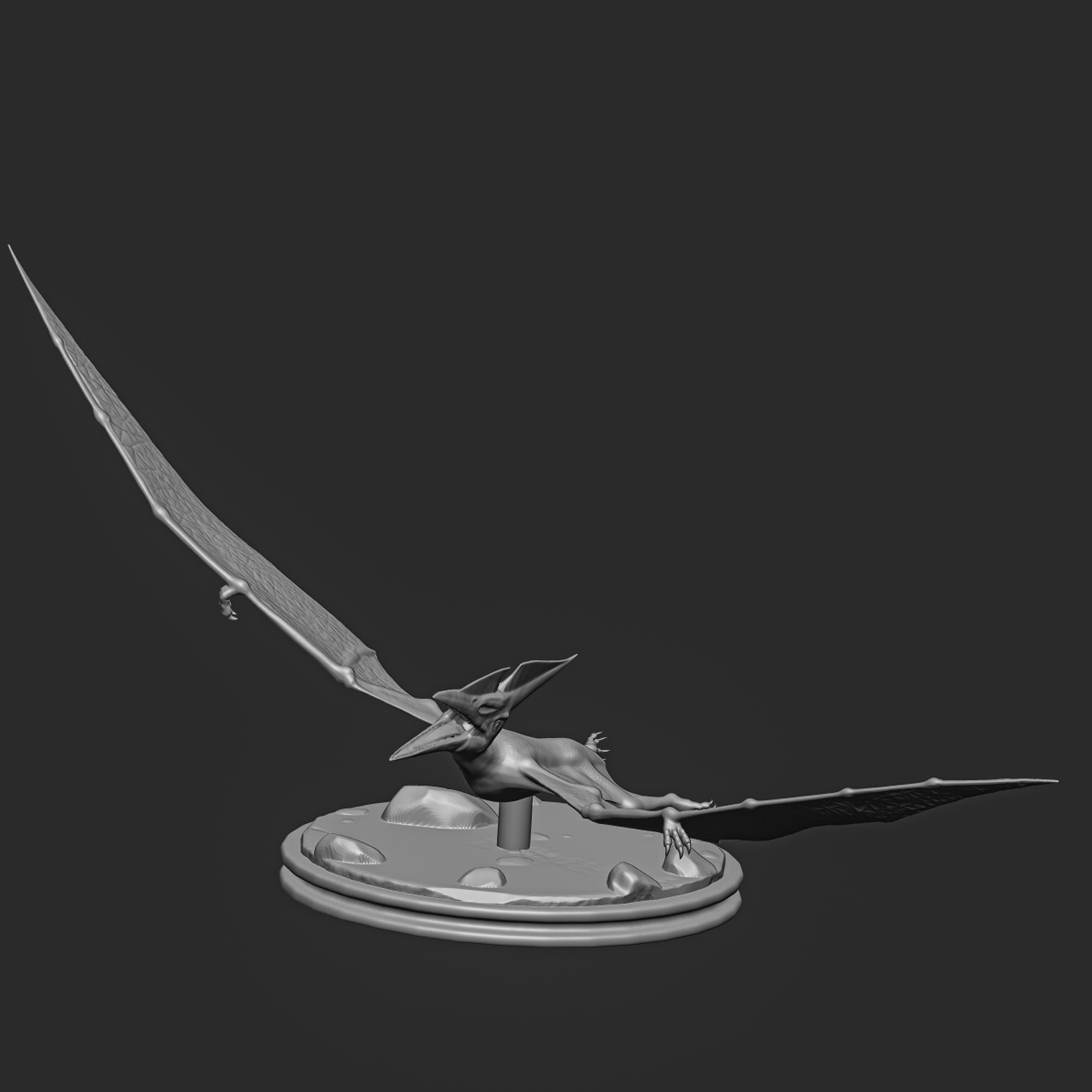 Pteranodon-dinosaur 3D print model_3