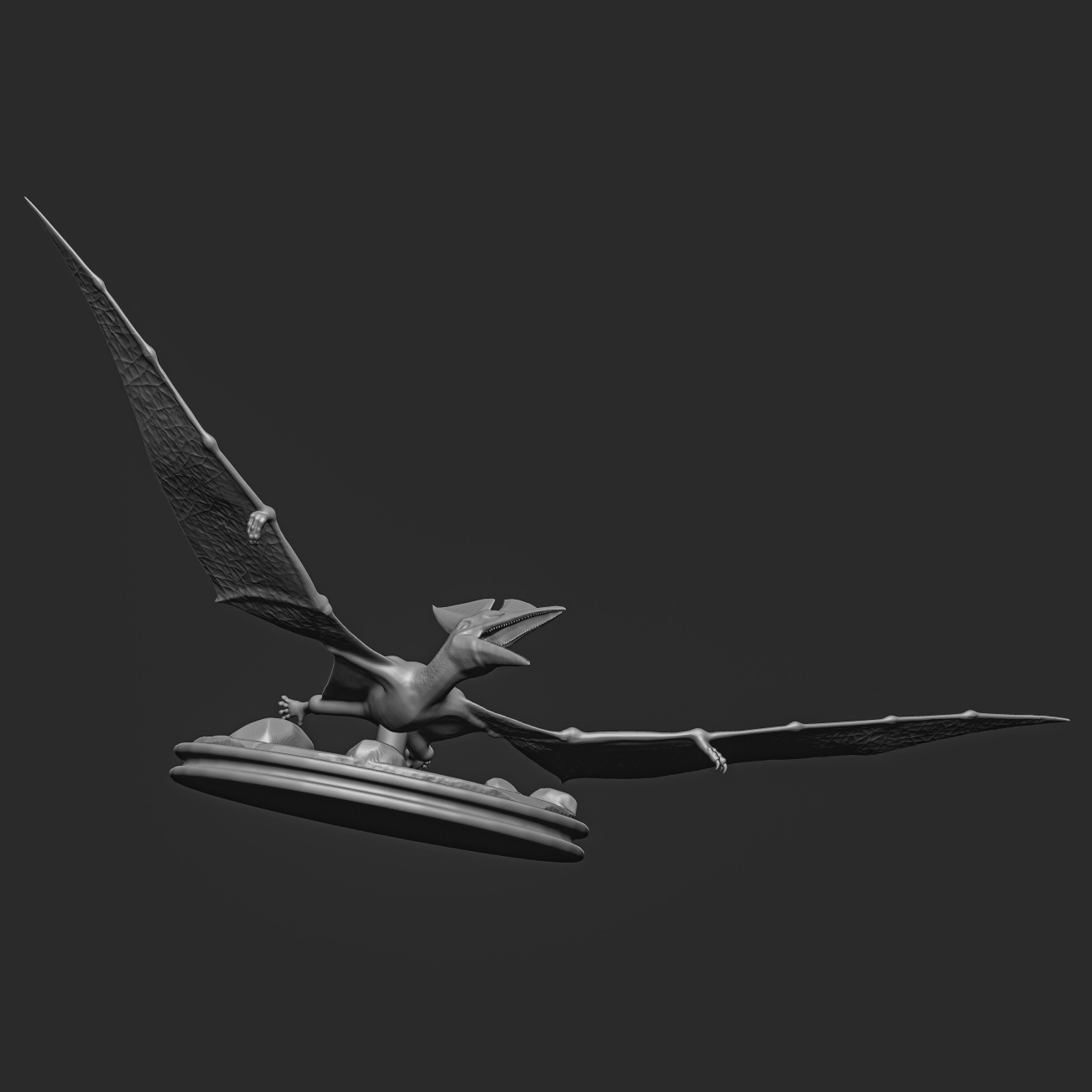 Pteranodon-dinosaur 3D print model_4