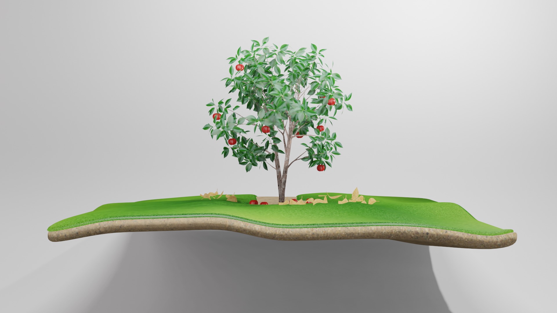 Arvore de Pitanga 3D model_1