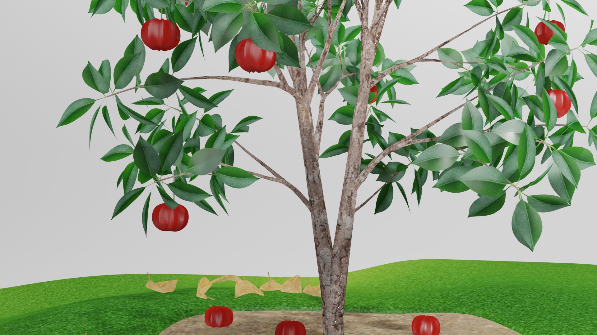 Arvore de Pitanga 3D model_3