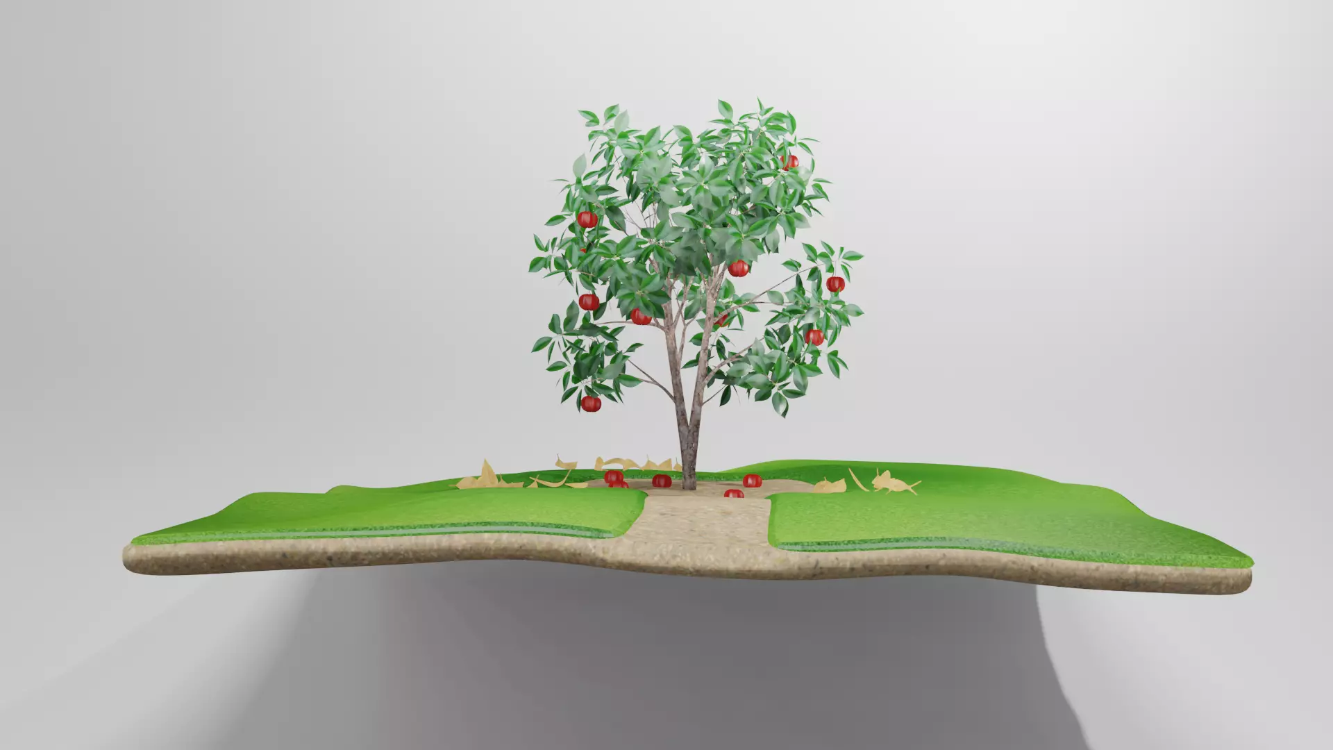 Arvore de Pitanga 3D model_0