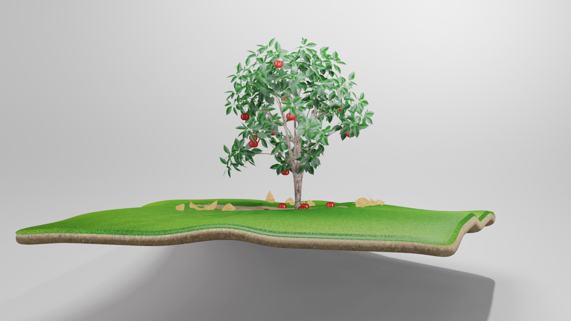 Arvore de Pitanga 3D model_2