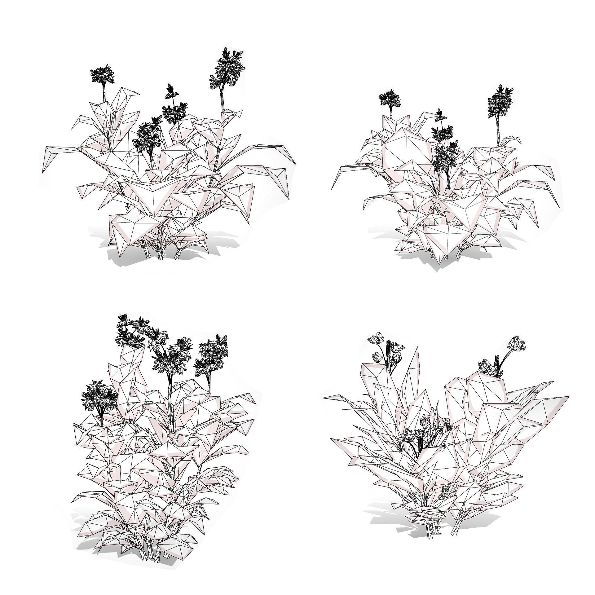 Canna Lily President 3D Model Low-poly 3D model_9