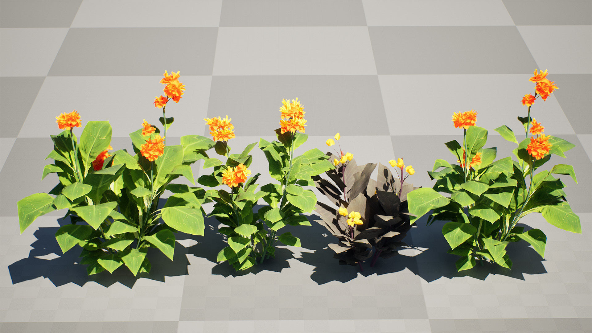 Canna Lily President 3D Model Low-poly 3D model_6