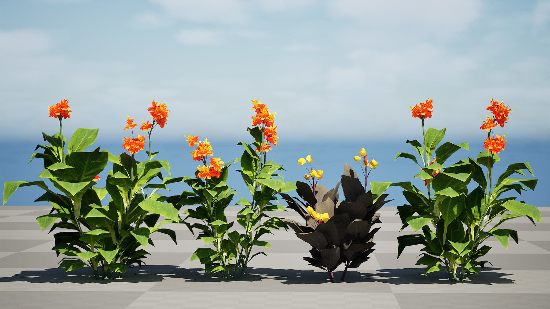 Canna Lily President 3D Model Low-poly 3D model_7
