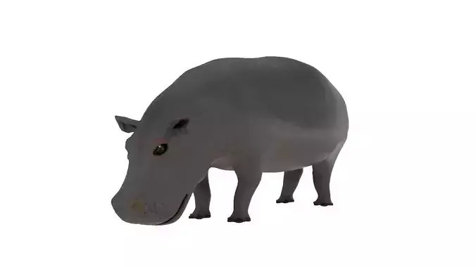 Hippopotamus 3D Model Rigged and Animated Low-poly 3D model