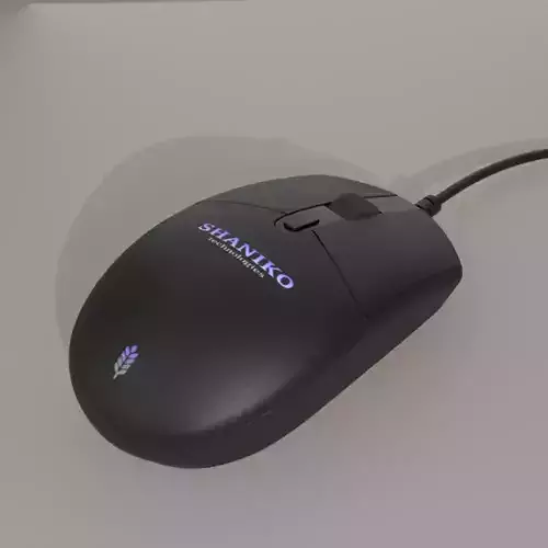 Computer Mouse