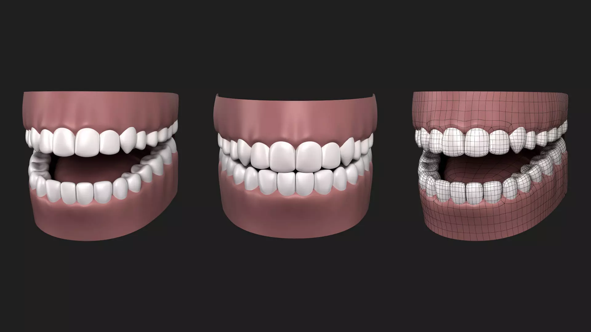 Teeth Mouth 3D model