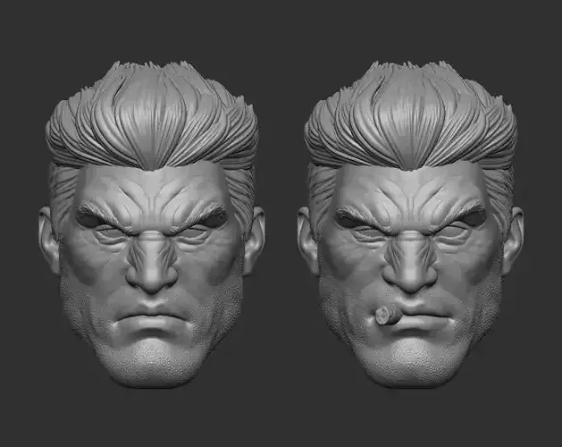 Frank Castle Headsculpt for Action Figures