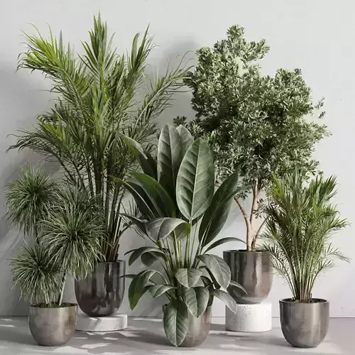 Tree plant in a Ceramics dirty vase - indoor plant set 548 3D model