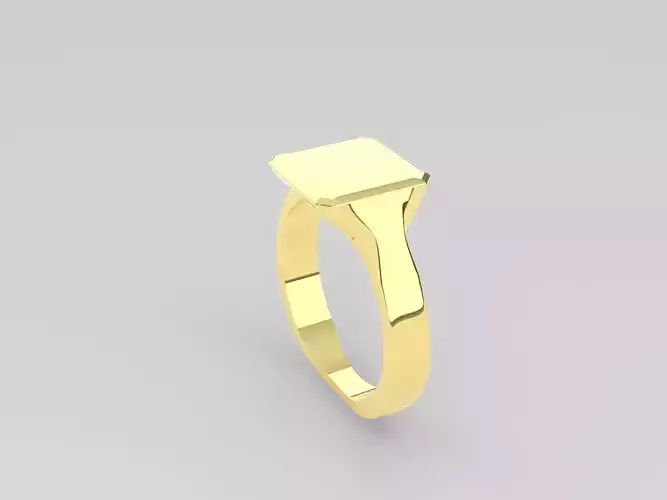 Rings Women And Man Rings 3dm