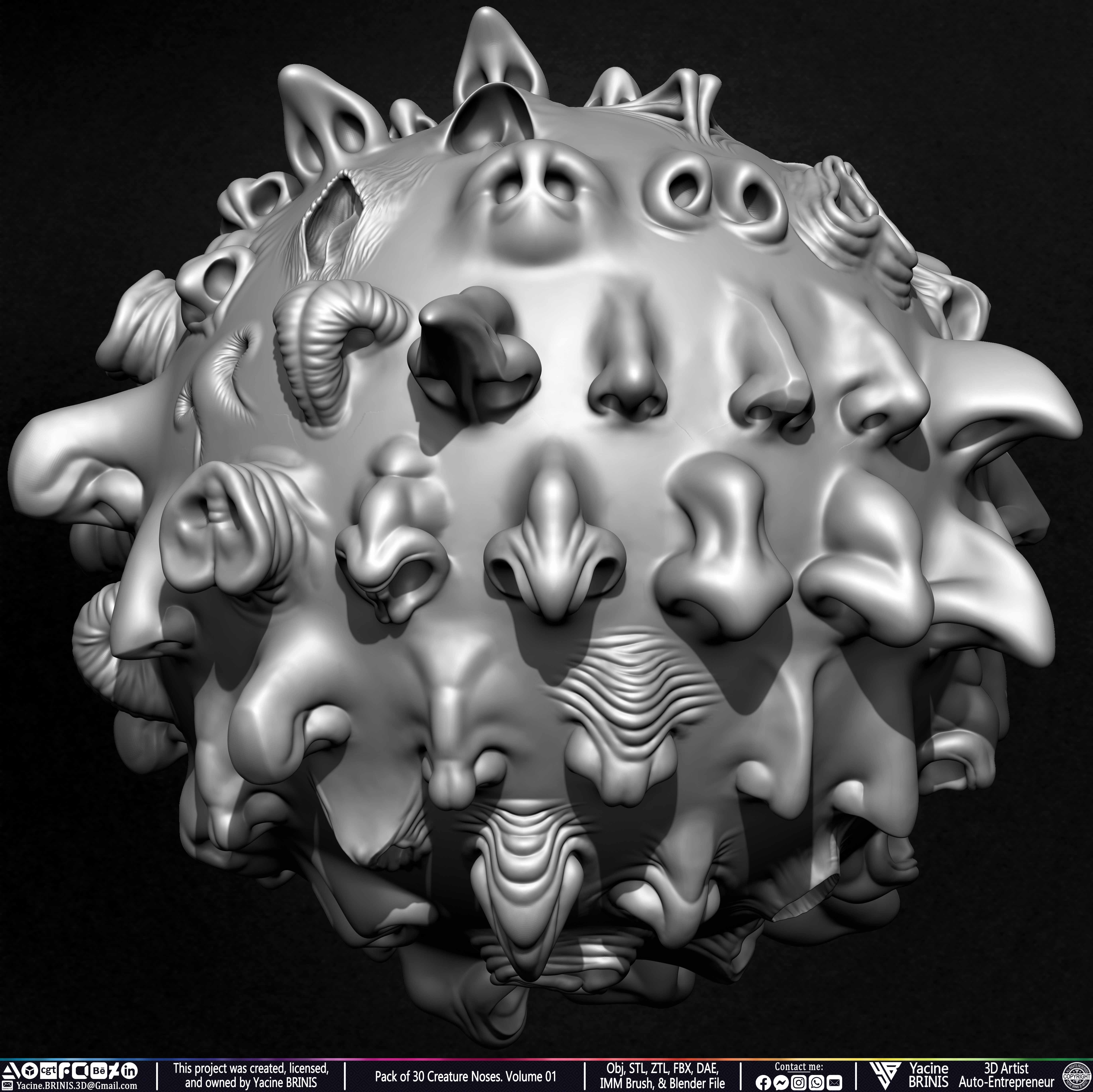 Pack of 30 Creature Noses VDM Brushes Volume 01 Low-poly 3D model_6