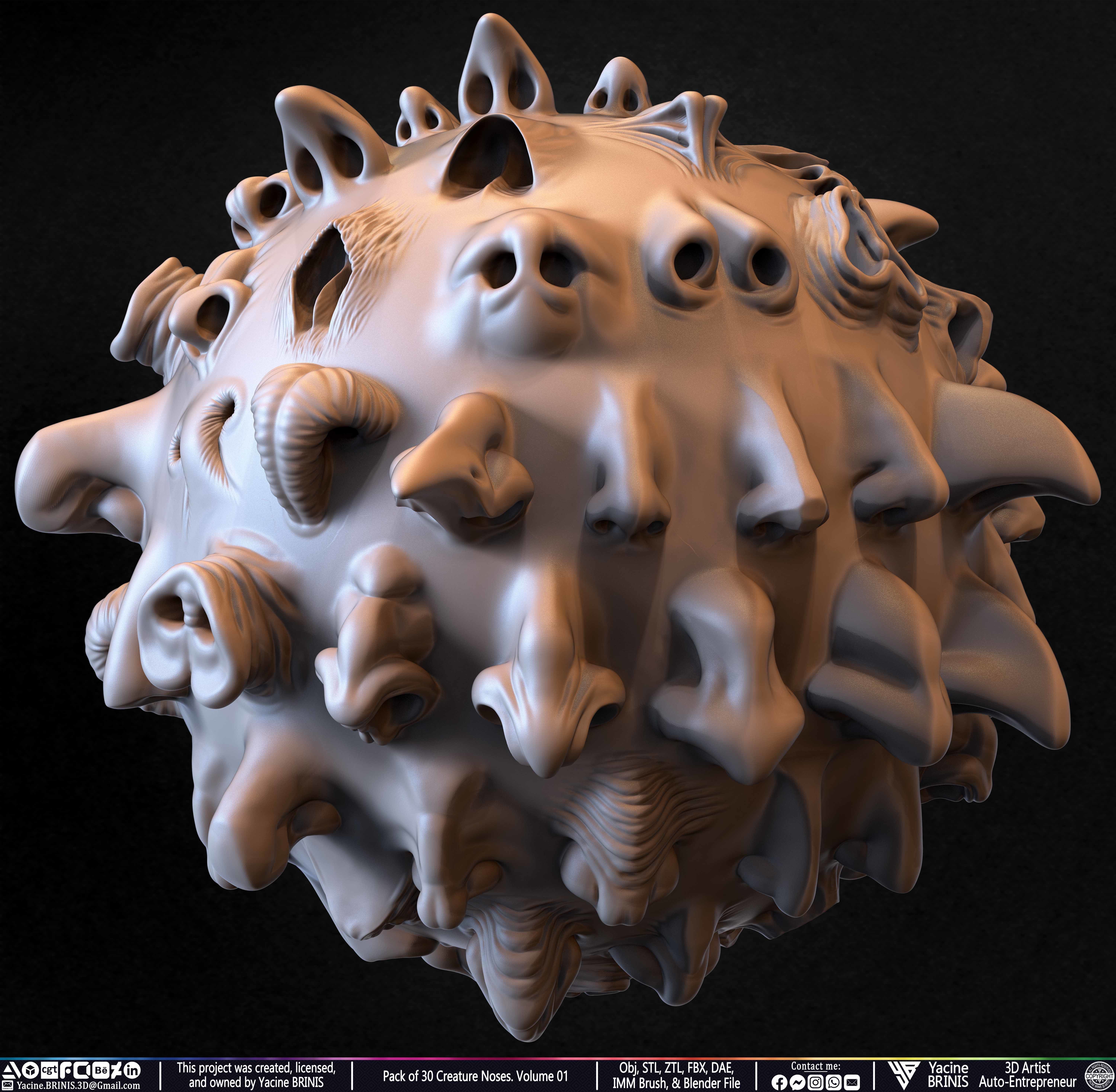 Pack of 30 Creature Noses VDM Brushes Volume 01 Low-poly 3D model_8